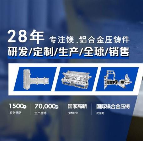 东莞宜安科技股份有限公司成立于1993年，拥有28年镁铝合金精密压铸件经验，具备成熟的生产一站式服务，是一家新材料及轻合金压铸研发、生产、营销为一体的国家火炬计划重点高新技术企业，所生产的产品包括汽车配件（电机、电控、电池包、车门、CCB、 转向系统、中控系统、传动系统等）、消费电子（超薄笔记本外壳等）、高端LED幕墙、通讯设备、医疗器械等。